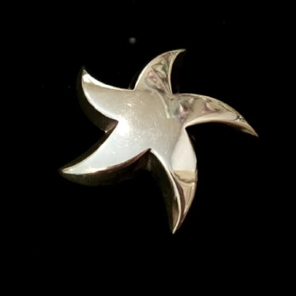 Bayanihan Sterling Silver Starfish Brooch Pin - Picture 2 of 6